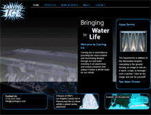 Tablet Screenshot of carvingice.com